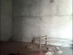 茶髪の, チン, Hd, インド人