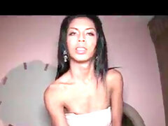 Amateur, Asiatique, Sucer une bite, Béant, Hard, Jeunes transsexuelles thaïlandaises, Culottes ou slips, Transsexuelle