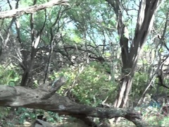 Amateur, Playa, Novia, Desnudo, Perforación, Coño, Flaco, Tetas