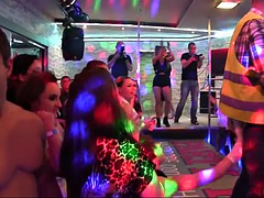 Tussi, Gruppe, Hardcore, Muskel, Party, Realität