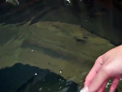 Schönheit, Grosse titten, Bikini, Blondine, Latina, Masturbation, Transfrau