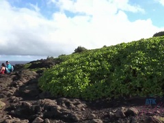 Amateur, Plage, Doigter, Petite femme, Pov, Chatte, Fumer, Nénés