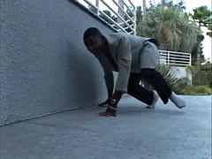 Leie, Grosser schwanz, Schwarz, Schwarz