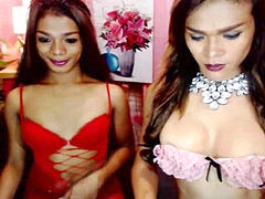 Amateur, Transexual