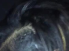 Enthousiasteling, Zwart, Pijpbeurt, Zwart, Hd