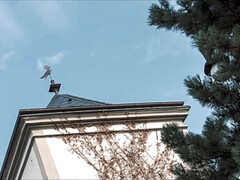 Grosse titten, Braunhaarige, Vollbusig, Behaart, Lesbisch, Natürlichen titten, Muschi, Titten