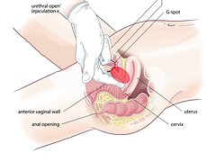 Красивые, Грудастые, Смазливые, Член, Хд, Натуральные, Русские, Сиськи