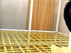 Asiático, Sadomasoquismo, Morena, Dominación, Fetiche, Hd, Japonés