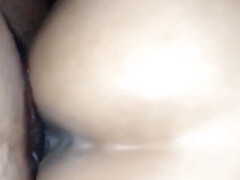 Анальный секс, Красотки, Садо мазо, Минет, Брюнетки, Член