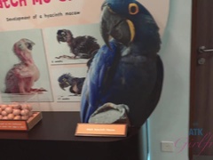 Penetracion con dedos, Comida, Novia, Masturbación, Orgasmo, Al aire libre, Público, Coño