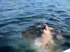 Pijpbeurt, Bruinharig, Hardcore, Moeder die ik wil neuken, Gezichtspunt