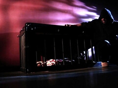 Aziatisch, Pijpbeurt, Laarzen, Kokhalzen, Likken, Natuurlijke tieten, Kut duiken, Ruw