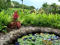 Verga grande, Morena, Hd, Lencería, Al aire libre