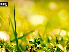 18 jahre, Blasen, Spermaladung, Hardcore, Indisch, Schulmädchen, Jungendliche (18+)