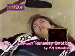 Amateur, Compilación, Gritar, Solo, Clasico