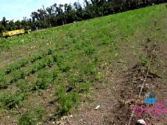 Cul, Gros cul, Pov, Chatte, Adolescente, Nénés