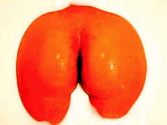 Anal, Verga grande, Tetas grandes, Mamada, Morena, Estilo perrito, Sexo duro, Madres para coger