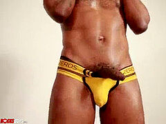 Negro, Gay