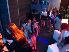 Chica, Erótico, Grupo, Pajear, Sexo duro, Orgía, Público, Tetas