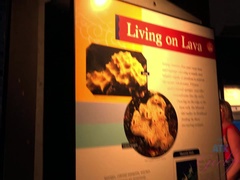 Plage, Doigter, Orgasme, Pov, Public, Maigrichonne, Gicler, Nénés