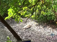 Пляж, Блондинки, Эксгибиционист, Подружка, Оргазм, На природе, На публике, Киски