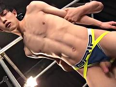 Aziatisch, Homo, Japaans