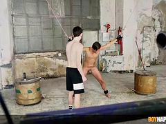 Homosexuelle, Mère que j'aimerais baiser