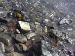 Amateur, Brunette brune, Papa, Exhib, Petite amie, Public, Maigrichonne, Fumer