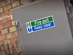 デカパイ, 茶髪の, 下着, アウトドア