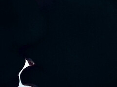 In den arsch, Extrem, Faustfick, Hd, Lesbisch, Taboo, Jungendliche (18+), Titten