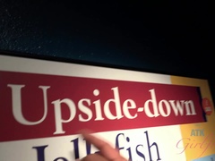 Victoria has a blast at the aquarium, and in the car after.