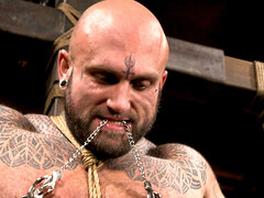 Bondage discipline sadomasochisme, Bruinharig, Hardcore, Trio