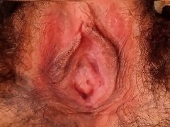 Amateur, Poilue, Solo