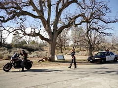 アメリカ人, デカ尻, デカパイ, イマラチオ, バック, ハードコア, なめる, タトゥー