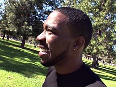 Grosser schwanz, Schwarz, Interrassisch