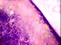 Anal, Culo grande, Tetas grandes, Rubia, Polla, Hd, Clasico