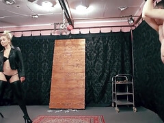 Bondage discipline sadomasochisme, Mooi, Blond, Pijpbeurt, Rondborstig, Schattig, Dominante vrouw, Kut duiken