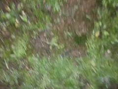 Big Ass Latina MILF Fucks Barefoot in Public Park - Outdoor Creampie