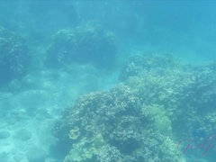 素人, ビーチ, 露出狂, 彼女, 手コキする, オーガズム, のぞき, 濡れ