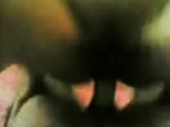 Amateur, Brunette brune, Poilue, Pov