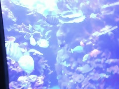 After the aquarium a lot of your fingers enter Olivia's pussy