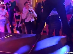 Leie, Grosser schwanz, Tanzen, Schwanz, Gruppe, Strumpfhose, Party, Strümpfe