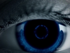 Mamada, Europeo, Gay, Hd, Músculo