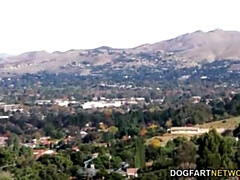 デカチン, 黒人, チン, 顔射, 異人種間