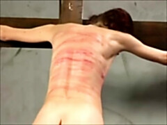 Cul, Bondage domination sadisme masochisme, Beauté, Sucer une bite, Mignonne, Mamelons, Orgasme, Fessée