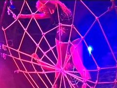 デカパイ, 黒人, ブロンド, 黒人, ポルノスター, 赤毛, オッパイの