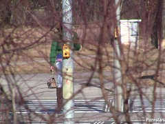 Bruinharig, Aangekleed, Brillen, Huisgemaakt, Pornster, Openbaar, Kut duiken, Nat