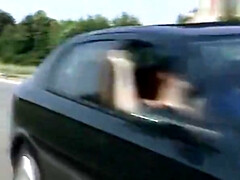 Culo, Belleza, Mamada, Clásico, Estilo perrito, Grupo, Al aire libre, Fiesta