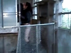 Минет, Буккаке, Глубокая глотка, Француженки, Групповуха, Готки, Натуральные, Соски