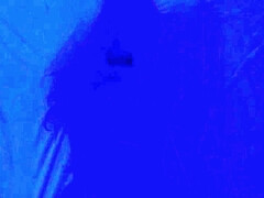 Leie, Grosse titten, Blasen, Paar, Selbstgemacht, Latina, Pov, Realität